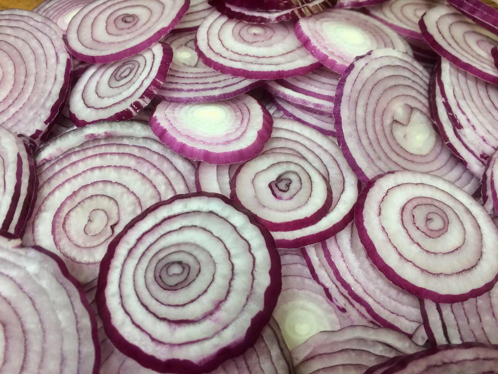 Gallery The Red Onion